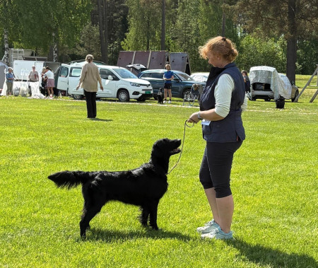 Kaisa, Rudskog's Hold The Line