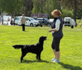 /album/hunder-fra-meg/671c4d38-e230-4cc6-99a0-83efb3598291-jpeg/